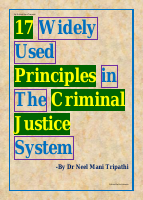 17 Widely Used Principles in the Criminal Justice System.pdf